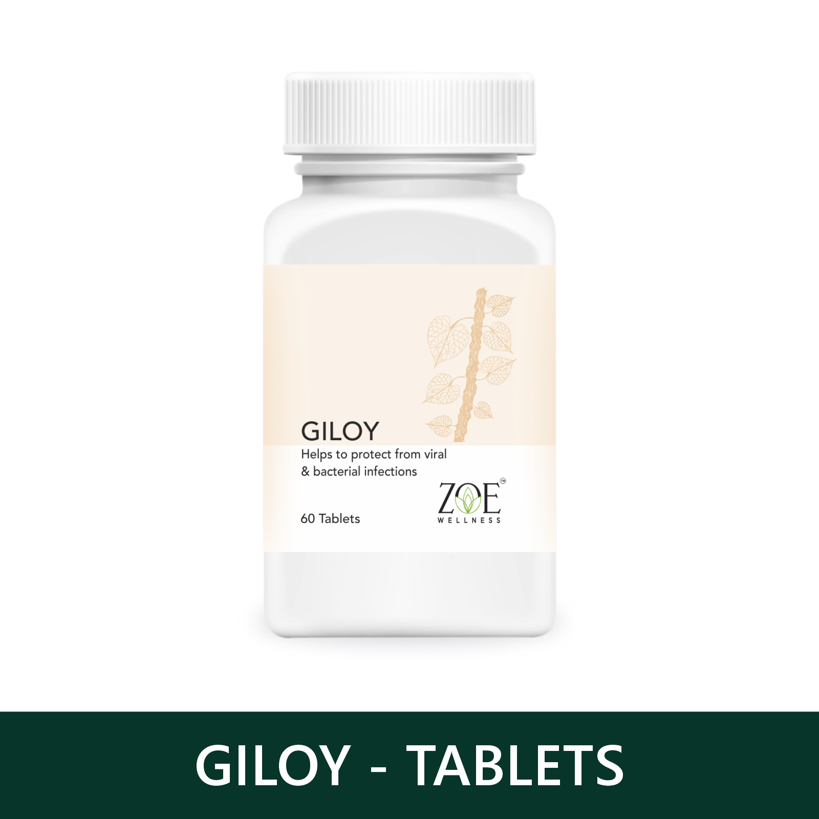 GILOY (60 TABLET)